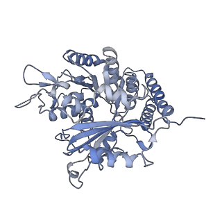 0614_6o2s_2J_v1-3
Deacetylated Microtubules