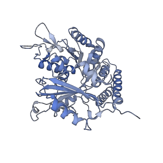 0614_6o2s_2K_v1-3
Deacetylated Microtubules