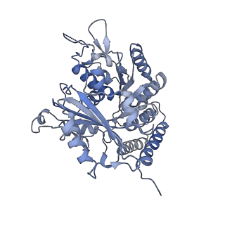 0614_6o2s_2L_v1-3
Deacetylated Microtubules