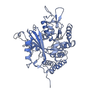 0614_6o2s_2M_v1-3
Deacetylated Microtubules