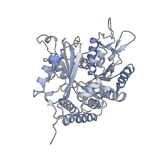 0614_6o2s_2N_v1-3
Deacetylated Microtubules