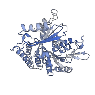 0614_6o2s_2O_v1-3
Deacetylated Microtubules