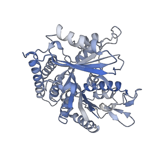 0614_6o2s_2P_v1-3
Deacetylated Microtubules