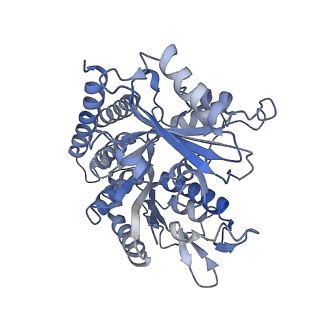 0614_6o2s_2Q_v1-2
Deacetylated Microtubules