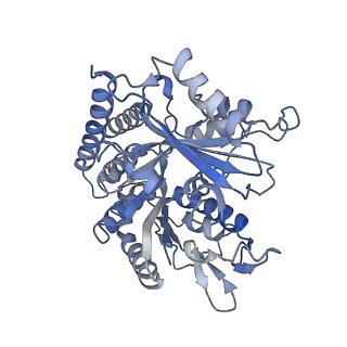 0614_6o2s_2Q_v1-3
Deacetylated Microtubules