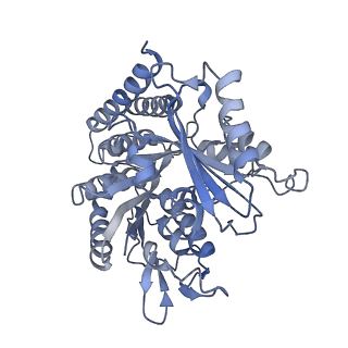 0614_6o2s_2R_v1-2
Deacetylated Microtubules