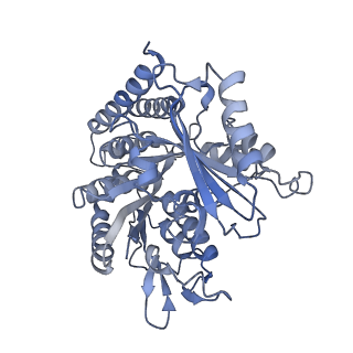 0614_6o2s_2R_v1-3
Deacetylated Microtubules