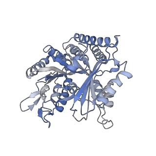 0614_6o2s_2T_v1-2
Deacetylated Microtubules