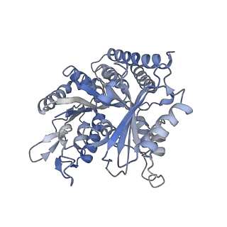 0614_6o2s_2T_v1-3
Deacetylated Microtubules