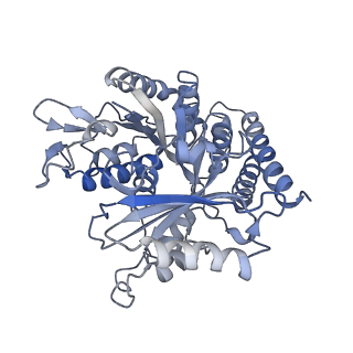 0614_6o2s_2V_v1-3
Deacetylated Microtubules