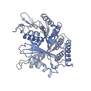 0614_6o2s_2W_v1-2
Deacetylated Microtubules