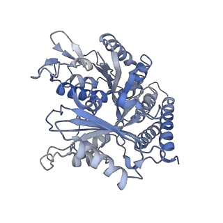 0614_6o2s_2W_v1-3
Deacetylated Microtubules