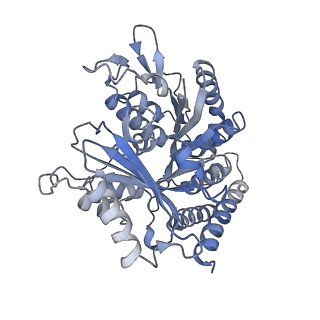 0614_6o2s_2X_v1-3
Deacetylated Microtubules