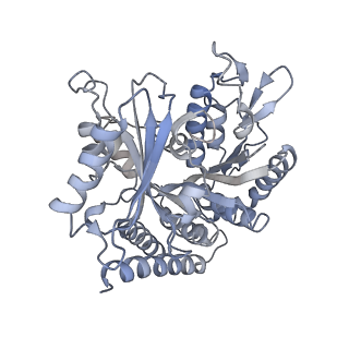 0614_6o2s_2Z_v1-3
Deacetylated Microtubules