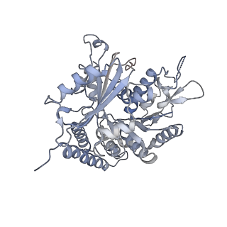 0614_6o2s_3A_v1-3
Deacetylated Microtubules