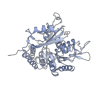 0614_6o2s_3B_v1-3
Deacetylated Microtubules