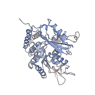 0614_6o2s_3D_v1-3
Deacetylated Microtubules