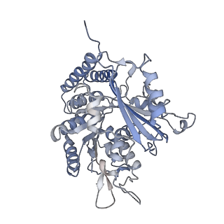 0614_6o2s_3E_v1-3
Deacetylated Microtubules