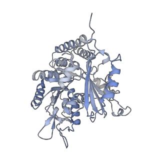 0614_6o2s_3F_v1-2
Deacetylated Microtubules