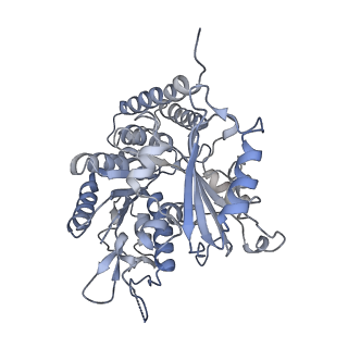 0614_6o2s_3F_v1-3
Deacetylated Microtubules