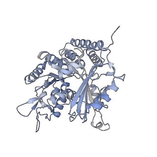 0614_6o2s_3G_v1-2
Deacetylated Microtubules