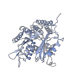 0614_6o2s_3G_v1-3
Deacetylated Microtubules