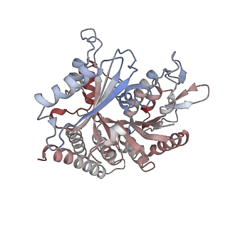 0614_6o2s_3H_v1-3
Deacetylated Microtubules