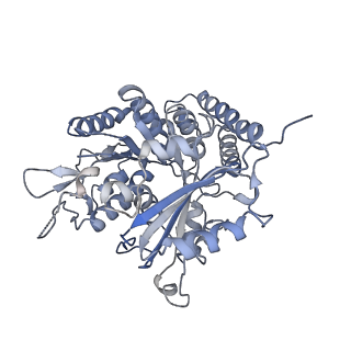 0614_6o2s_3I_v1-3
Deacetylated Microtubules