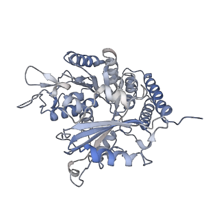 0614_6o2s_3J_v1-3
Deacetylated Microtubules