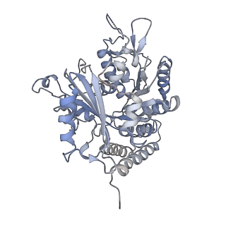 0614_6o2s_3M_v1-3
Deacetylated Microtubules