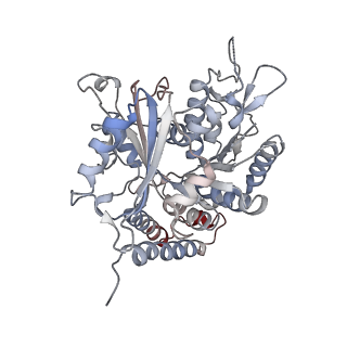 0614_6o2s_3N_v1-3
Deacetylated Microtubules