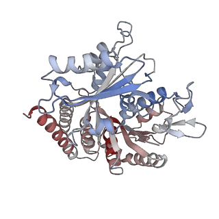 0614_6o2s_3O_v1-3
Deacetylated Microtubules