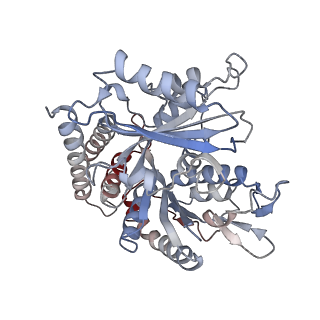 0614_6o2s_3P_v1-2
Deacetylated Microtubules