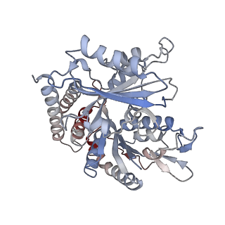 0614_6o2s_3P_v1-3
Deacetylated Microtubules