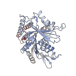 0614_6o2s_3Q_v1-2
Deacetylated Microtubules