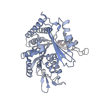 0614_6o2s_3R_v1-2
Deacetylated Microtubules