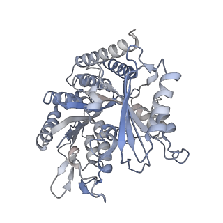 0614_6o2s_3S_v1-3
Deacetylated Microtubules