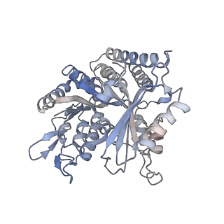 0614_6o2s_3T_v1-2
Deacetylated Microtubules
