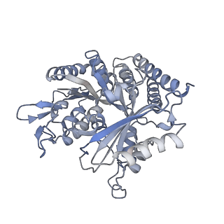 0614_6o2s_3U_v1-3
Deacetylated Microtubules