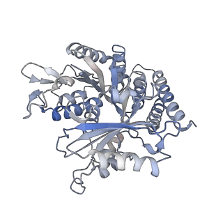 0614_6o2s_3V_v1-3
Deacetylated Microtubules