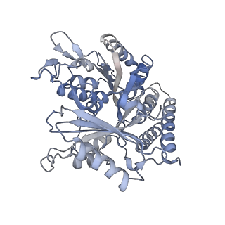 0614_6o2s_3W_v1-2
Deacetylated Microtubules