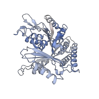 0614_6o2s_3W_v1-3
Deacetylated Microtubules