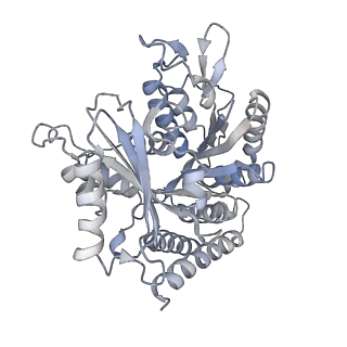 0614_6o2s_3Y_v1-3
Deacetylated Microtubules