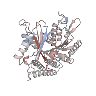 0614_6o2s_3Z_v1-3
Deacetylated Microtubules