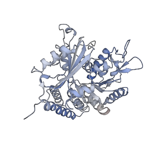 0614_6o2s_4A_v1-3
Deacetylated Microtubules