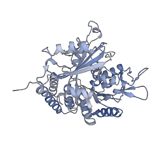 0614_6o2s_4B_v1-3
Deacetylated Microtubules