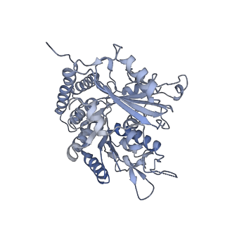 0614_6o2s_4D_v1-3
Deacetylated Microtubules