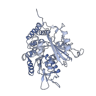 0614_6o2s_4E_v1-3
Deacetylated Microtubules