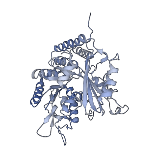 0614_6o2s_4F_v1-2
Deacetylated Microtubules