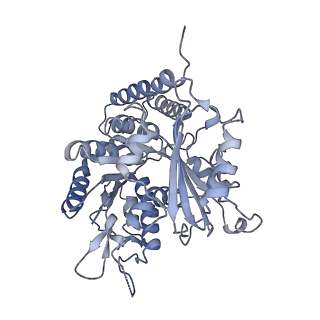 0614_6o2s_4F_v1-3
Deacetylated Microtubules